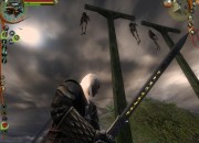 The Witcher