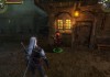 The Witcher