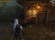 The Witcher