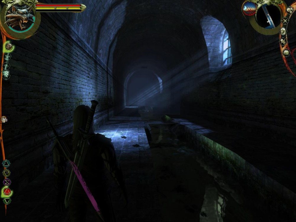 The Witcher