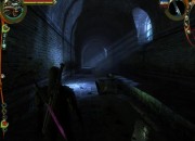 The Witcher