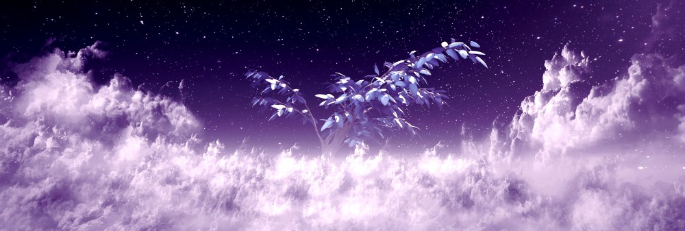 Mind: Path to Thalamus