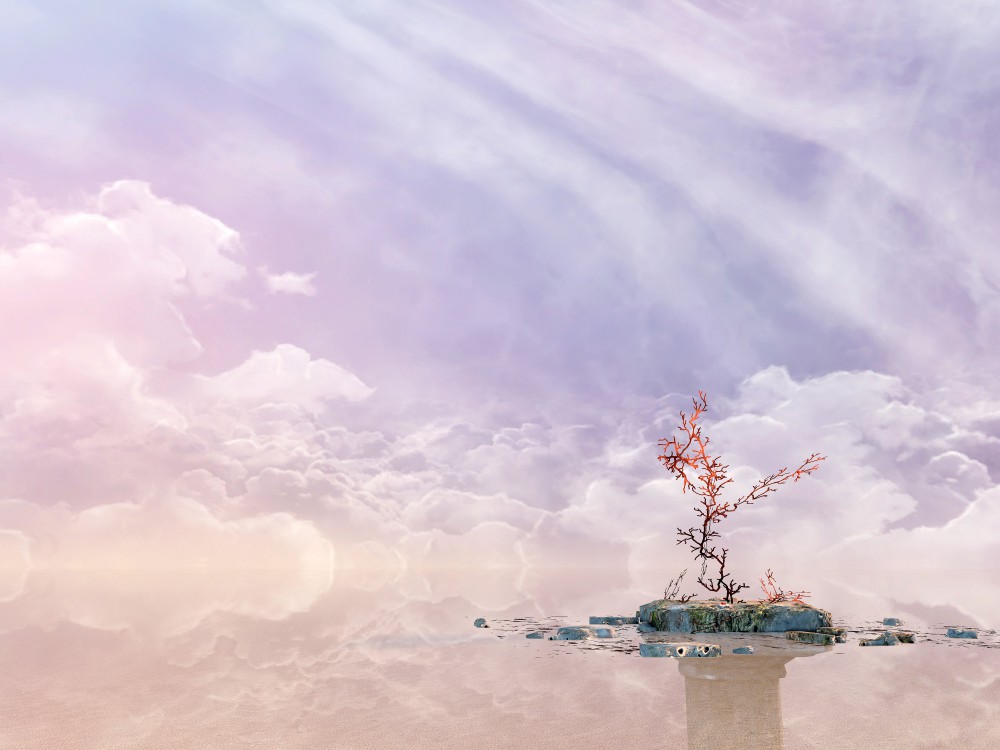 Mind: Path to Thalamus