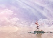 Mind: Path to Thalamus