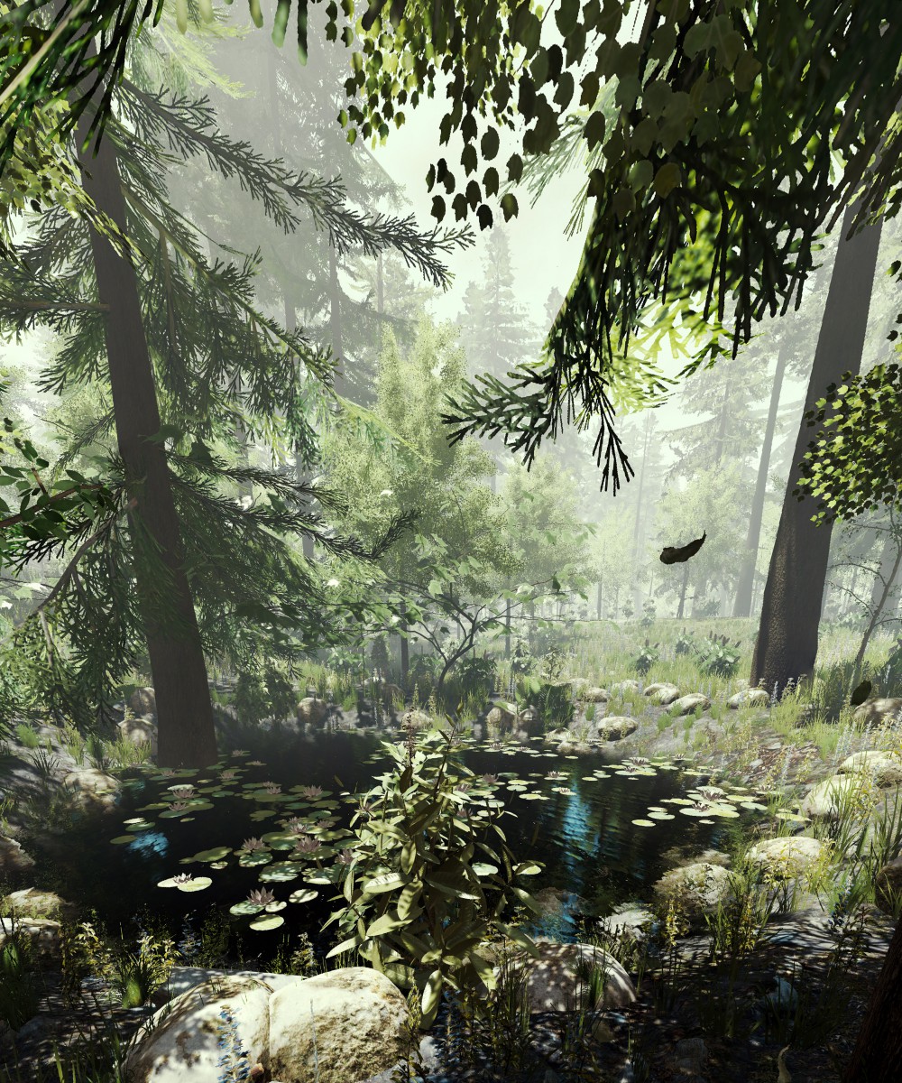 The Forest