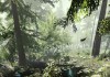 The Forest