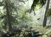 The Forest