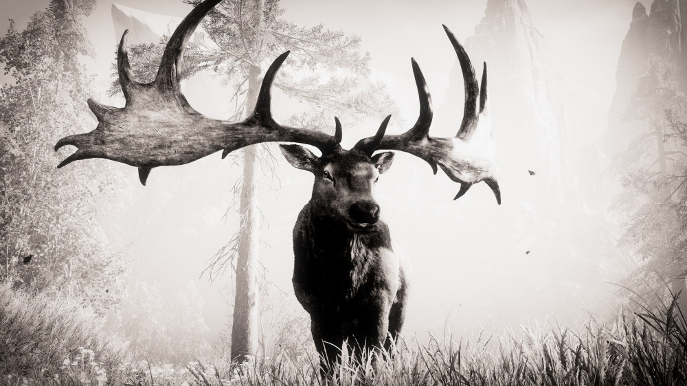 Far Cry: Primal