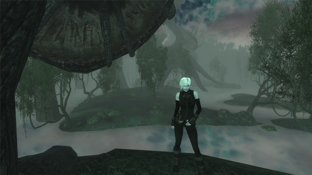 The Elder Scrolls IV: Oblivion