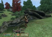 The Elder Scrolls IV: Oblivion