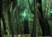 The Elder Scrolls IV: Oblivion