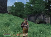 The Elder Scrolls IV: Oblivion
