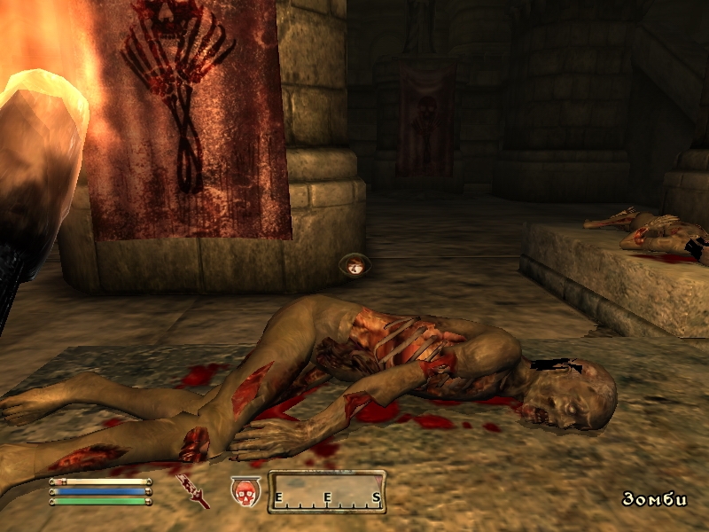 The Elder Scrolls IV: Oblivion
