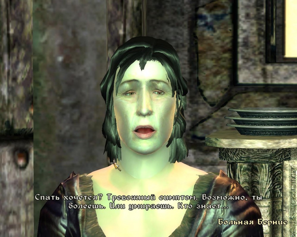 The Elder Scrolls IV: Oblivion