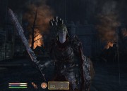 The Elder Scrolls IV: Oblivion