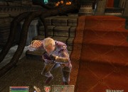 The Elder Scrolls IV: Oblivion
