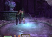 The Elder Scrolls IV: Oblivion