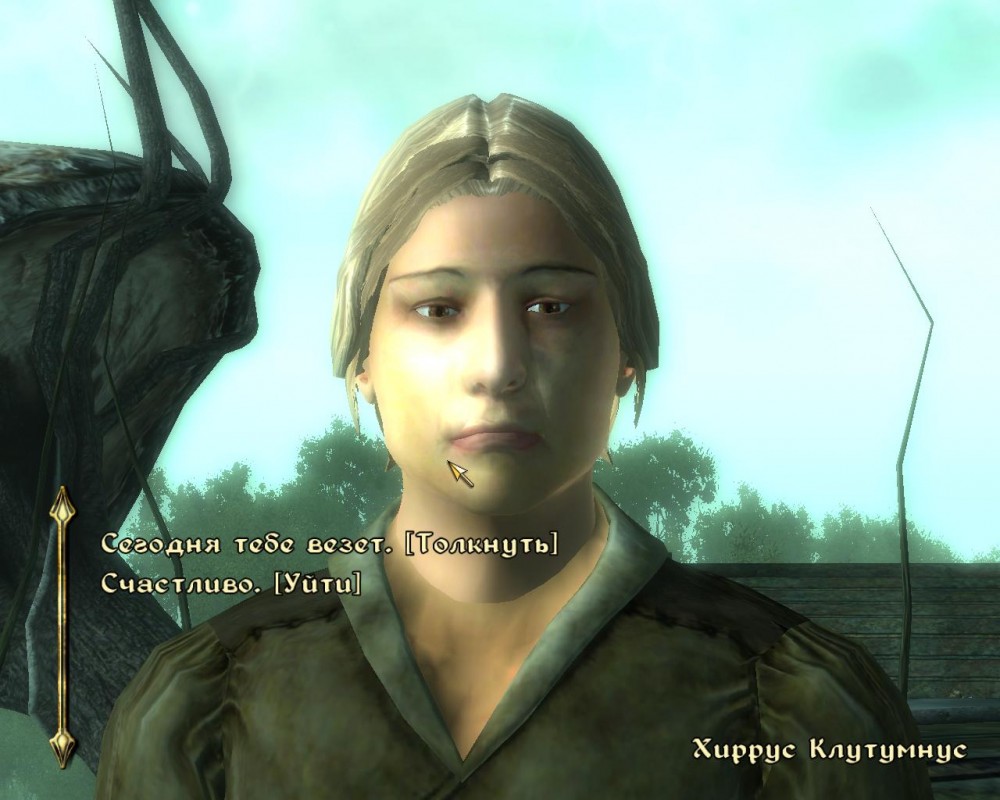 The Elder Scrolls IV: Oblivion