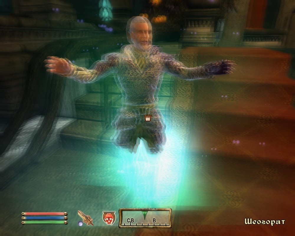 The Elder Scrolls IV: Oblivion