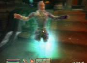 The Elder Scrolls IV: Oblivion