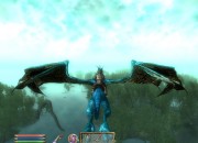 The Elder Scrolls IV: Oblivion