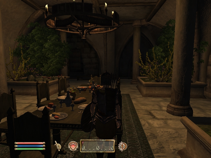 The Elder Scrolls IV: Oblivion