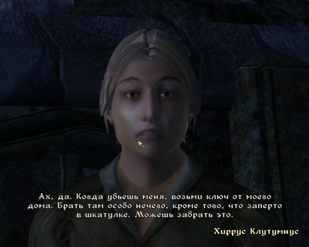 The Elder Scrolls IV: Oblivion