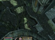 The Elder Scrolls IV: Oblivion