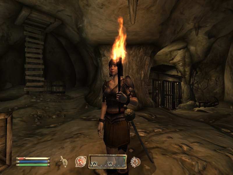 The Elder Scrolls IV: Oblivion