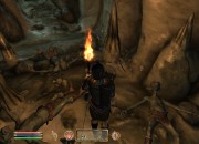 The Elder Scrolls IV: Oblivion