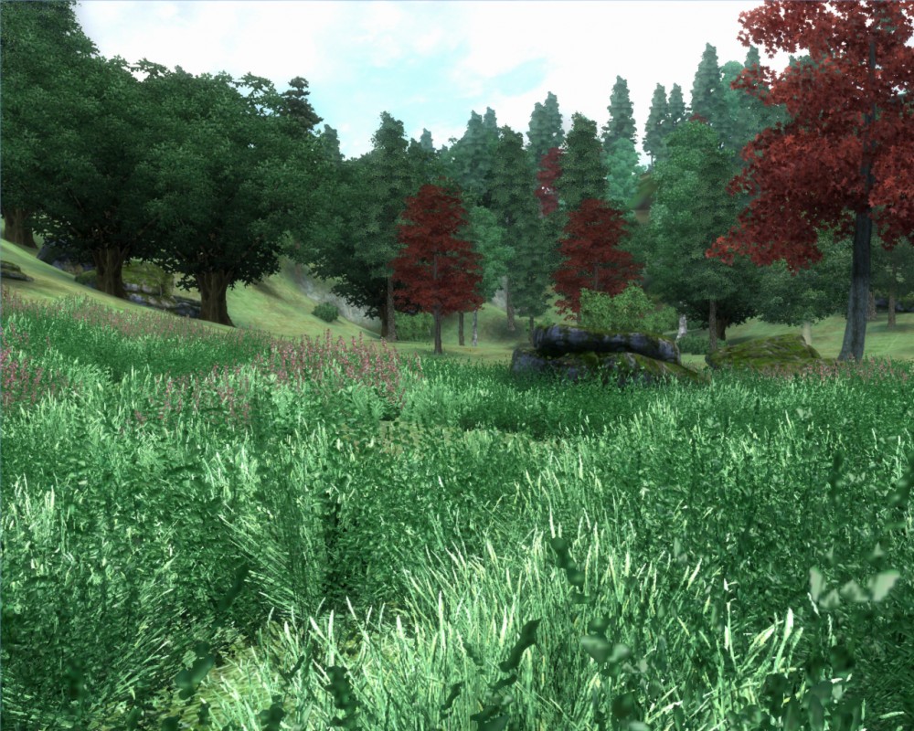 The Elder Scrolls IV: Oblivion