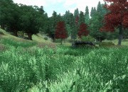 The Elder Scrolls IV: Oblivion