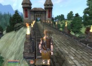 The Elder Scrolls IV: Oblivion