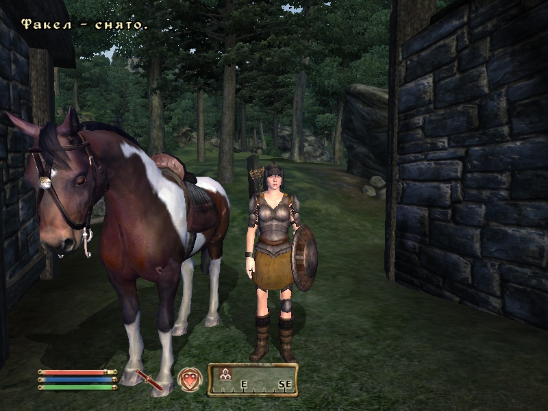 The Elder Scrolls IV: Oblivion