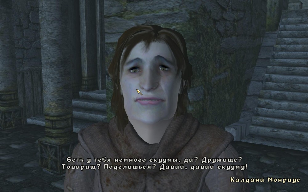 The Elder Scrolls IV: Oblivion