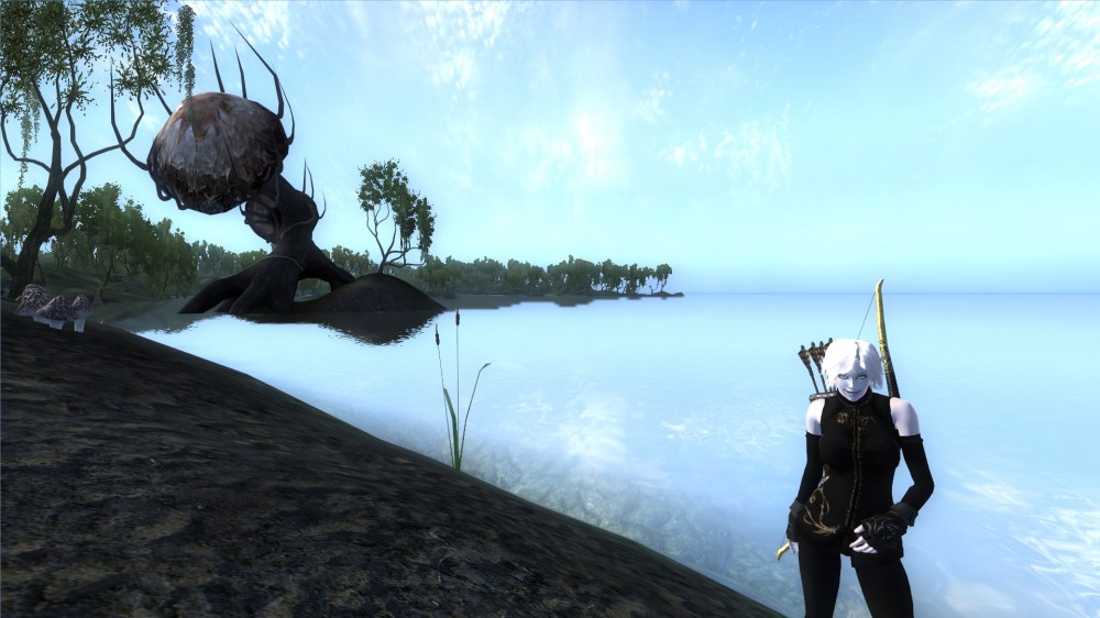 The Elder Scrolls IV: Oblivion