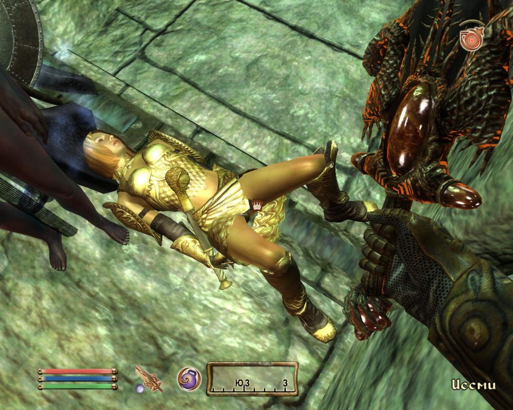 The Elder Scrolls IV: Oblivion