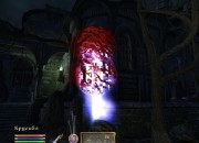 The Elder Scrolls IV: Oblivion
