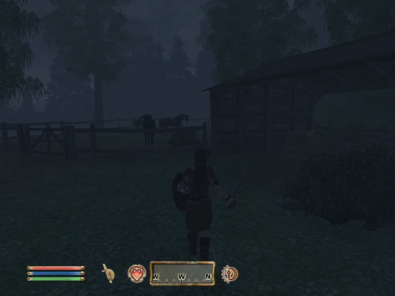 The Elder Scrolls IV: Oblivion