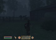 The Elder Scrolls IV: Oblivion