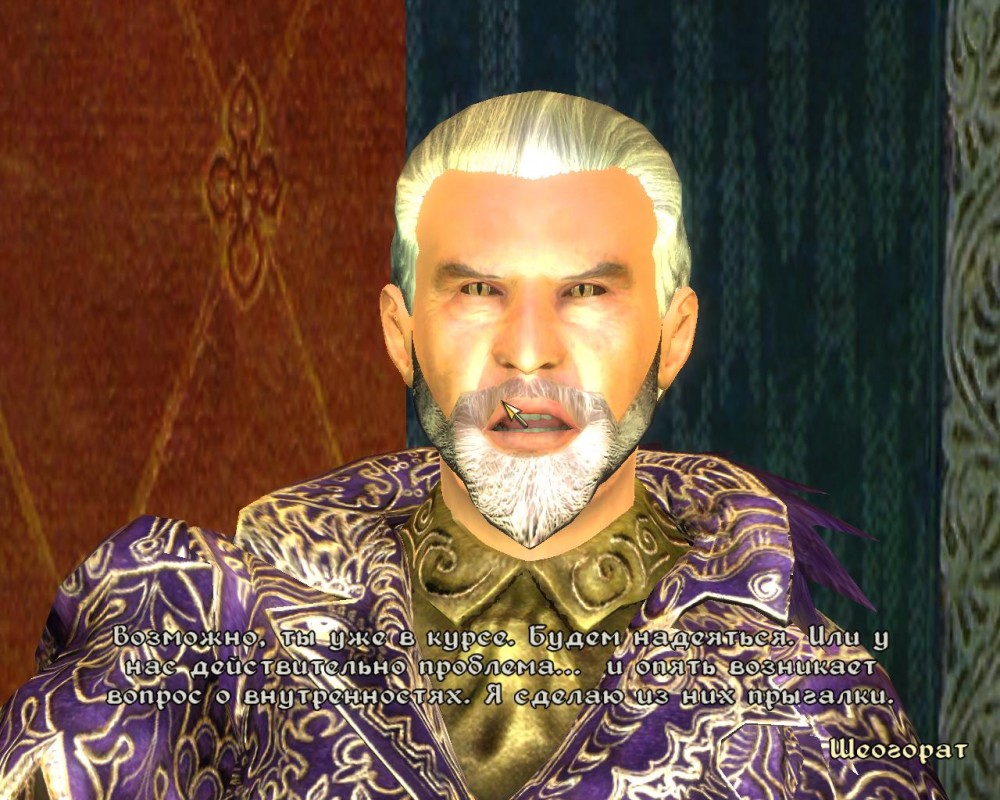 The Elder Scrolls IV: Oblivion