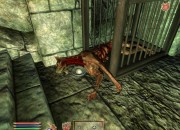 The Elder Scrolls IV: Oblivion