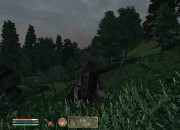 The Elder Scrolls IV: Oblivion