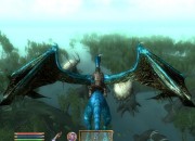 The Elder Scrolls IV: Oblivion