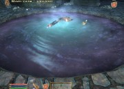 The Elder Scrolls IV: Oblivion