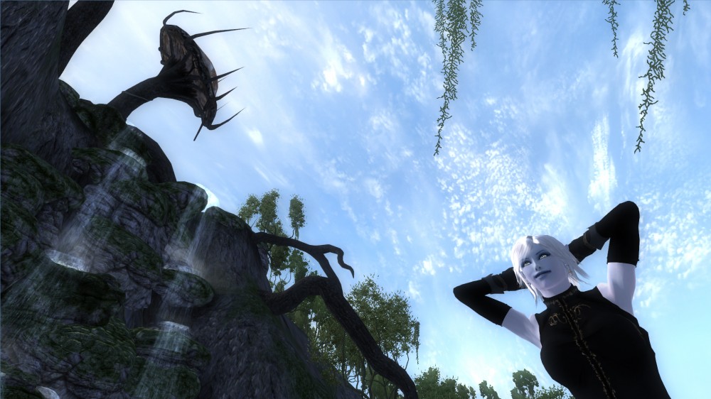 The Elder Scrolls IV: Oblivion