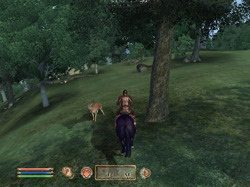 The Elder Scrolls IV: Oblivion
