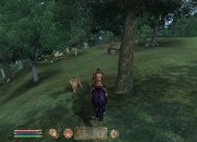 The Elder Scrolls IV: Oblivion