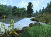 The Elder Scrolls IV: Oblivion