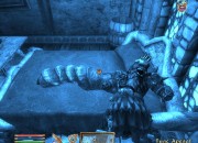 The Elder Scrolls IV: Oblivion